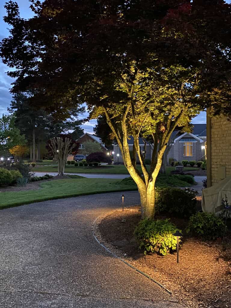 tree and driveway residential illumination at night